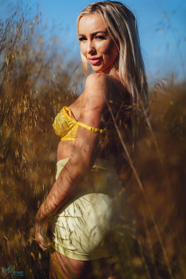 Fields With Gold Preview 1