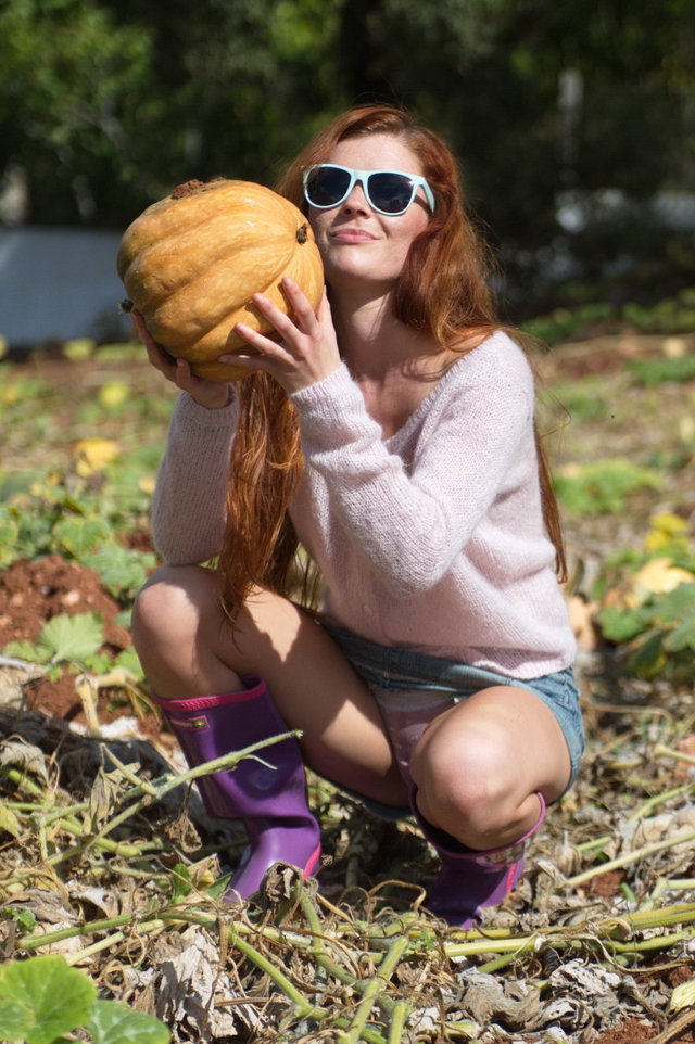 Pumpkins And Pomegranates Preview 3