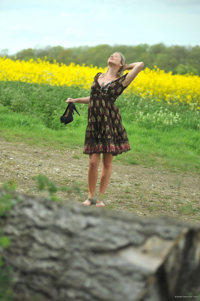 Country Preview 3