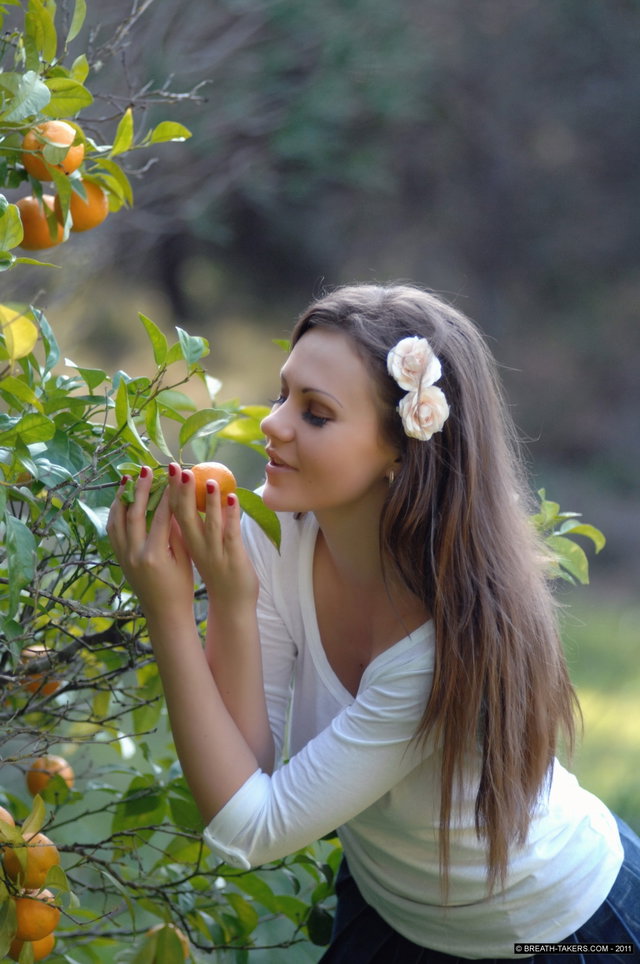Tangerine Preview 3