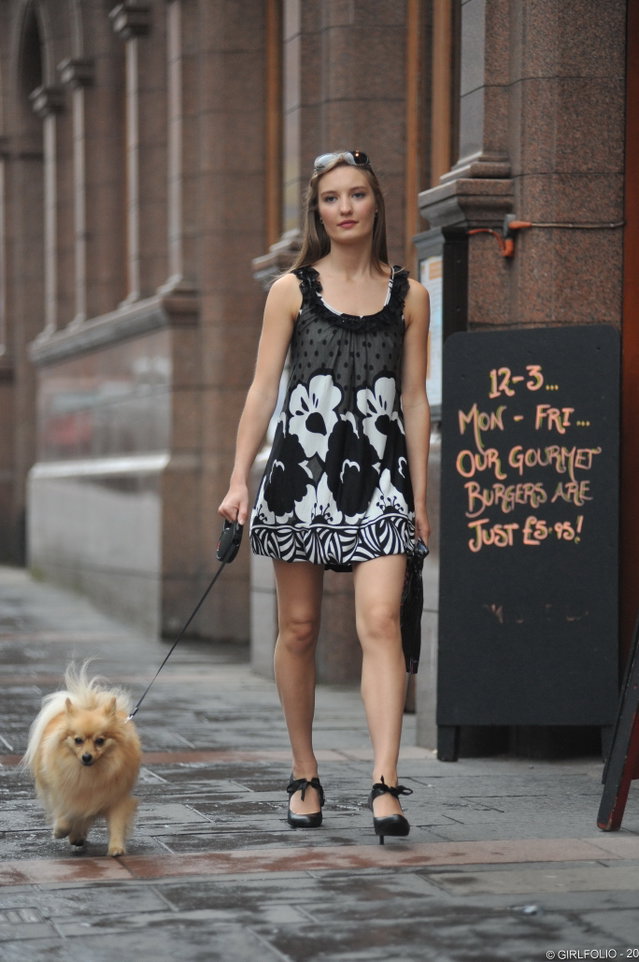 Lucky Dog Preview 2