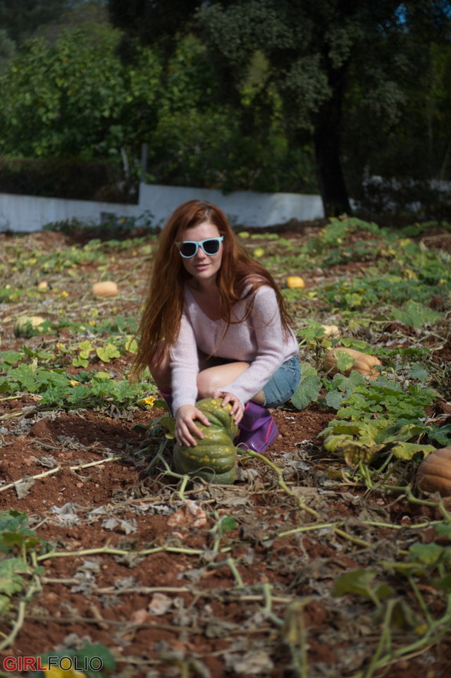 Pumpkin Patch
