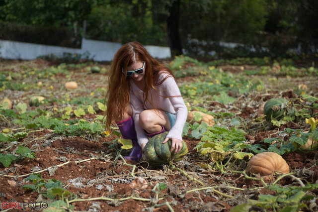 Pumpkin Patch Preview 1