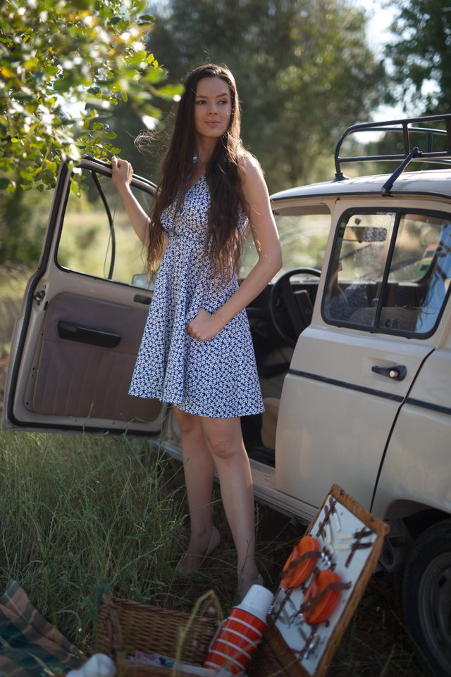 The Picnic Preview 1