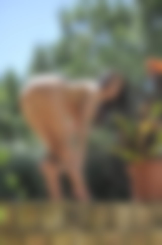 Poolside Creep