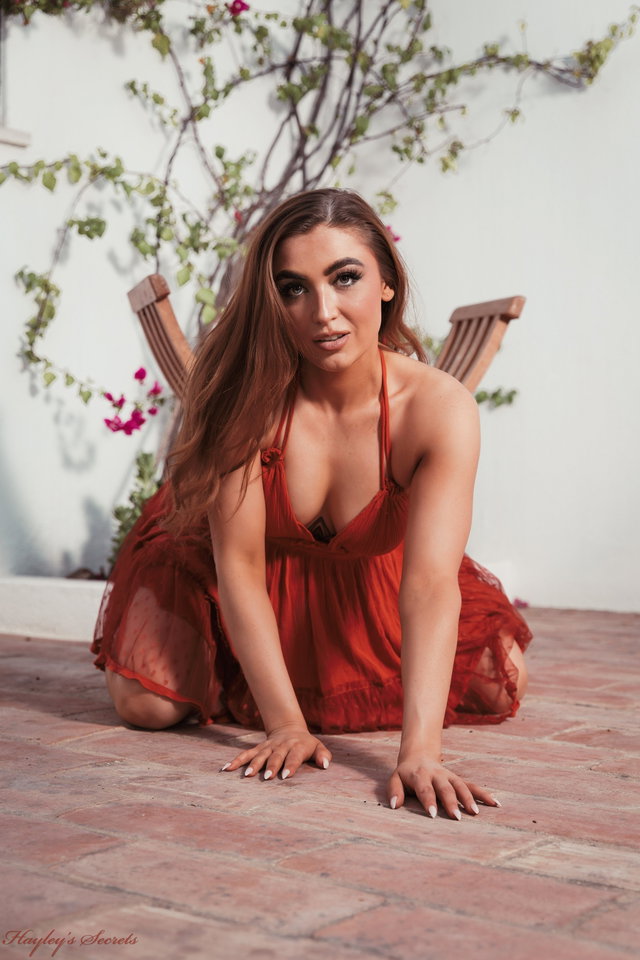 Scarlet Silhouette Preview 1