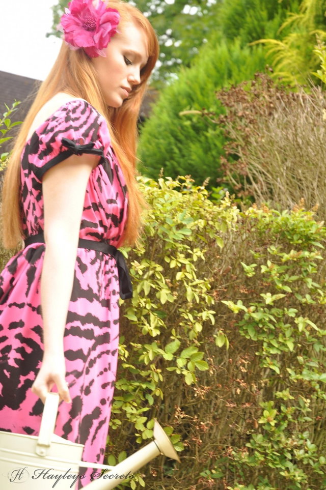 Blossom Preview 3