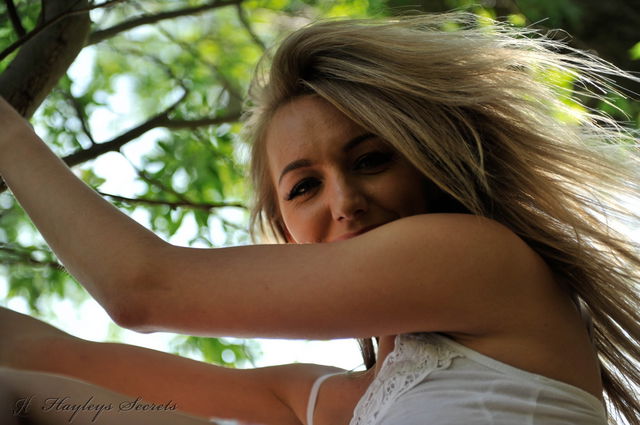 Climb A Tree Preview 2