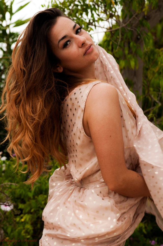 Golden Dress Preview 2