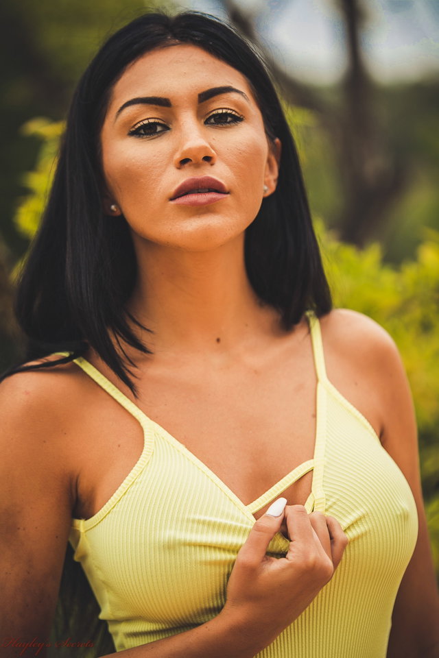 All Yellow Preview 2