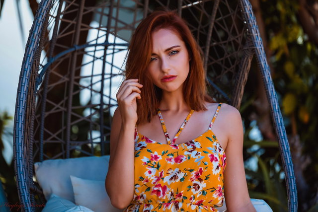 Shaded Swing Preview 2
