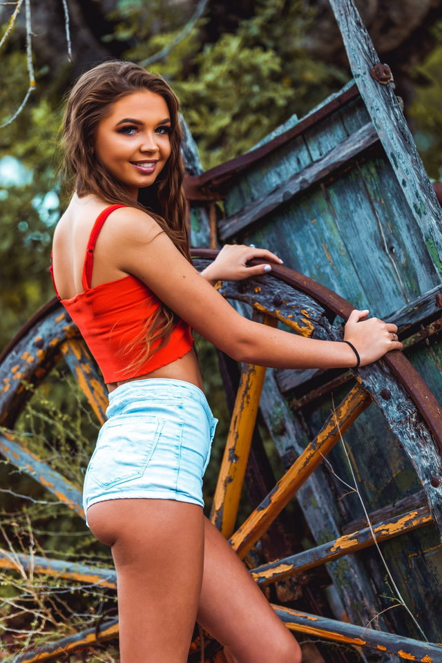 Rustic Preview 2
