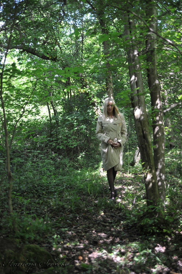 Woods Preview 1