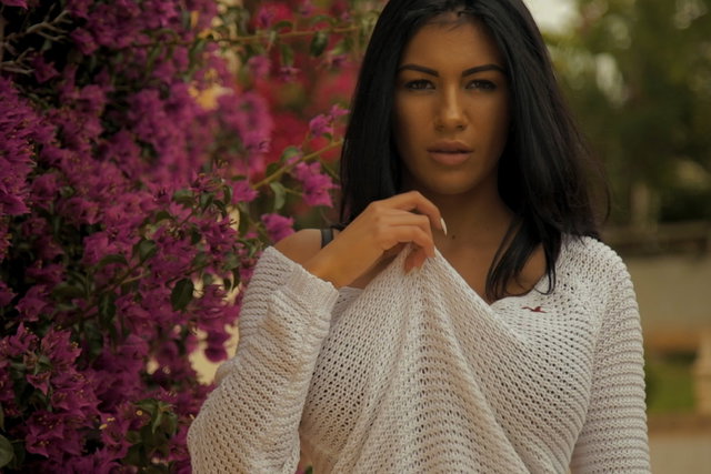 Blossomed