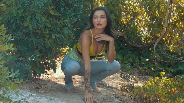 Harmony Of Nature BTS