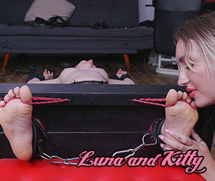 Luna Kitty Marie Ukt 1742